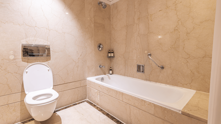 image of a well appointed bathroom highlighting the bathtub and a commode - The Claridges New Delhi 