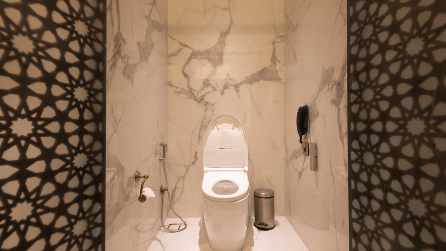image of the bathroom focusing on the commode in the heritage rooms - The Claridges New Delhi