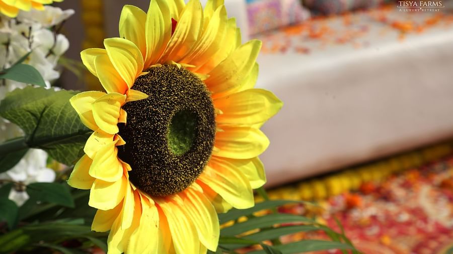 Sunflower and white floral decoration near a seating area with colourful rugs at Tisya Farms, Gurgaon.