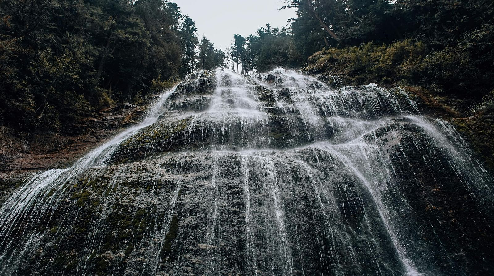 image of water dripping through the rocks surround by lush green trees on either sides
