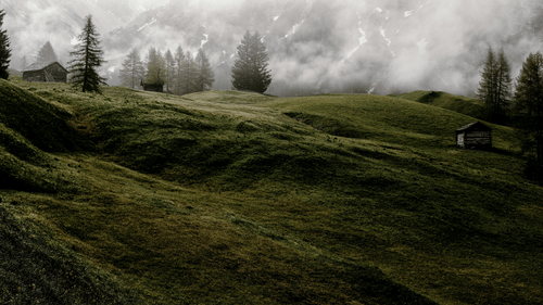 a view of green mountains with clouds and pine trees covered in fog
