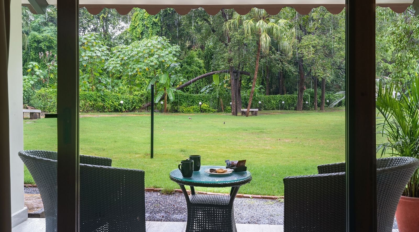 close up image of the private sit out area featuring a green laen with two arm chairs and a coffee table at the luxury family suite at aranya vilas in udaipur