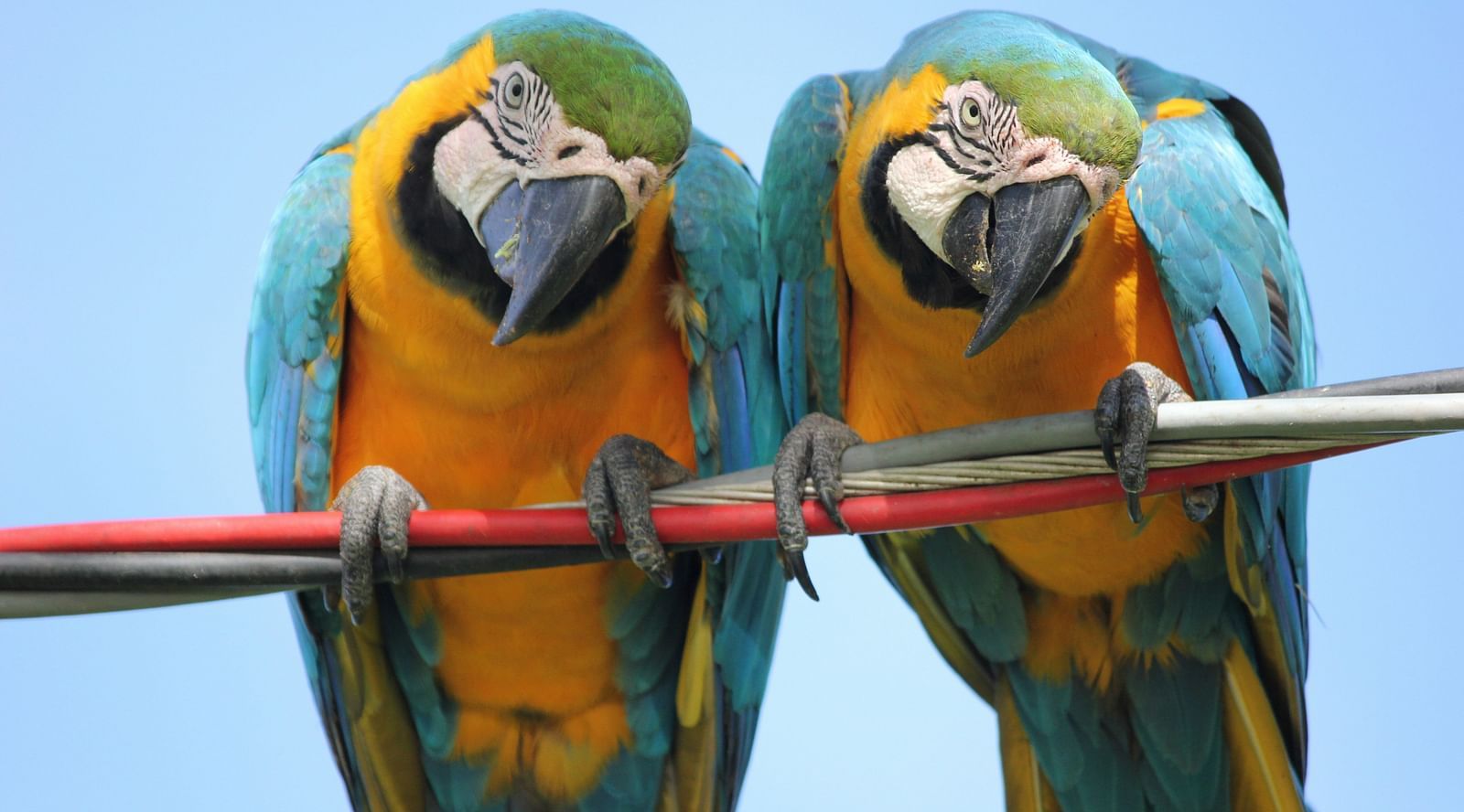 juliana-e-mariana-amorim-AmLssHPF58k-unsplash