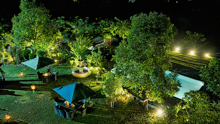 An image of campsite with tents lit up at night, surrounded by trees, capturing an arial view 