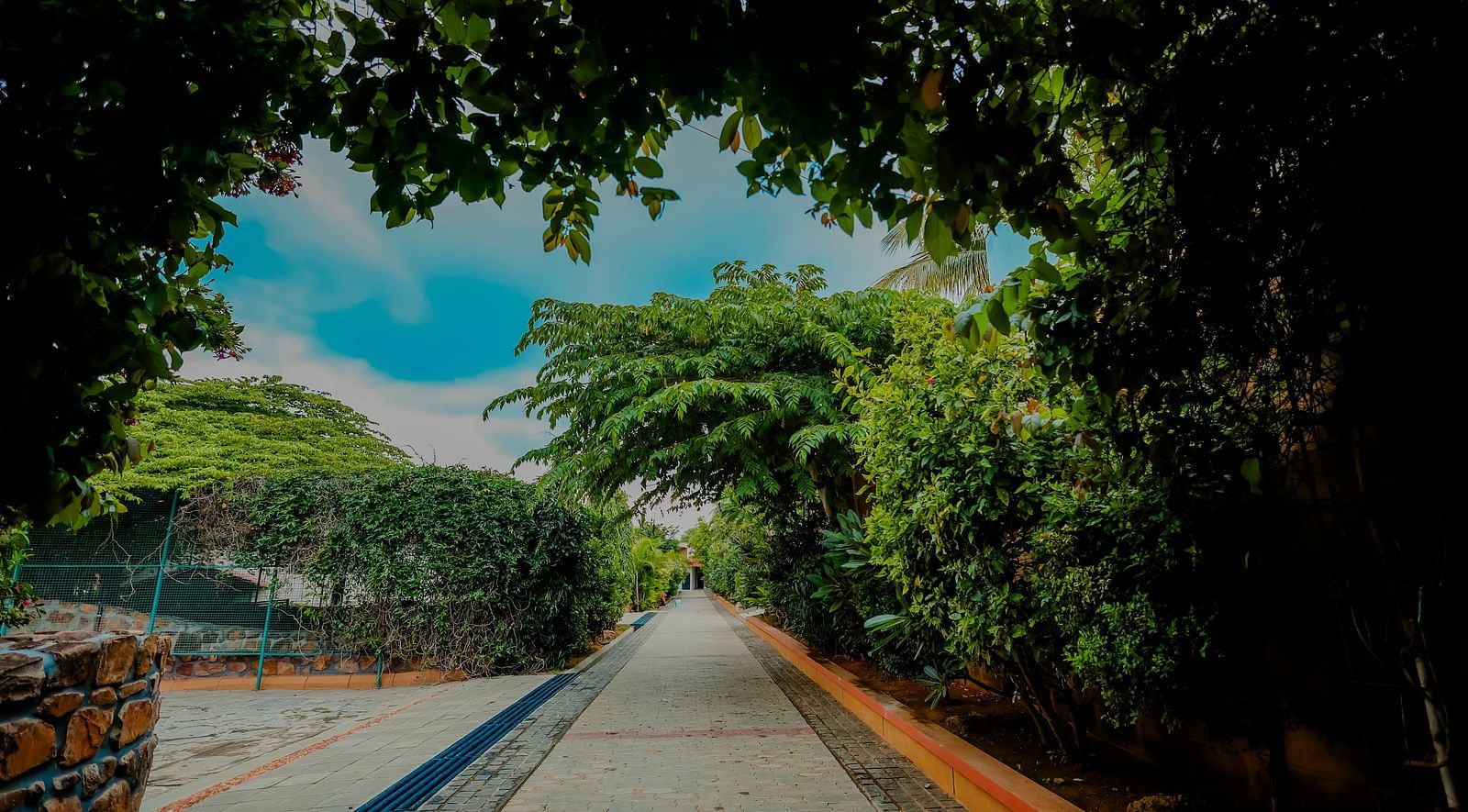 A pathway lined with trees and foliage at Nirantara Resort & Spa, creating a natural tunnel.