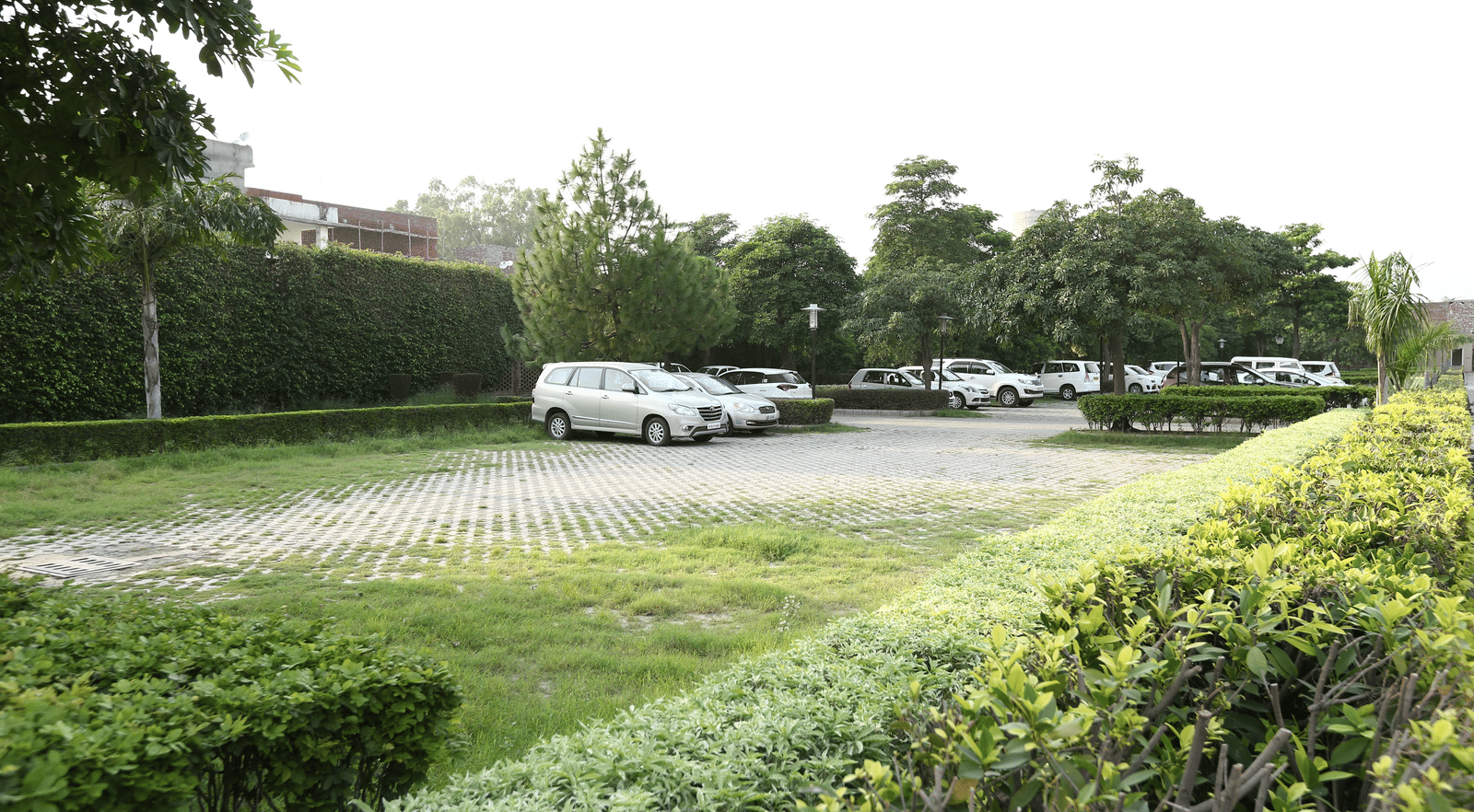 A view of cars parked surrounded by greenery at Nirvana Luxury Hotel, Ludhiana.