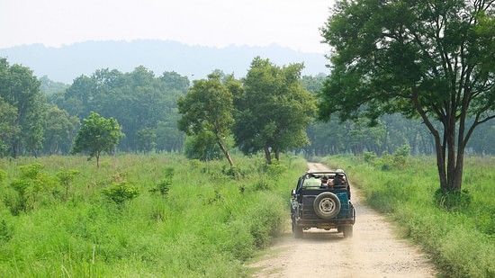 A jeep driving down a dirt road through a green, forested landscape.