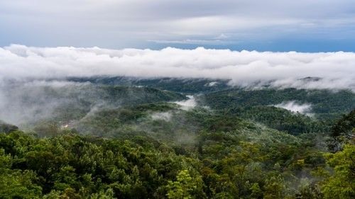 Lush hills enveloped by fog as seen from the resort, The Serai Chikmagalur.