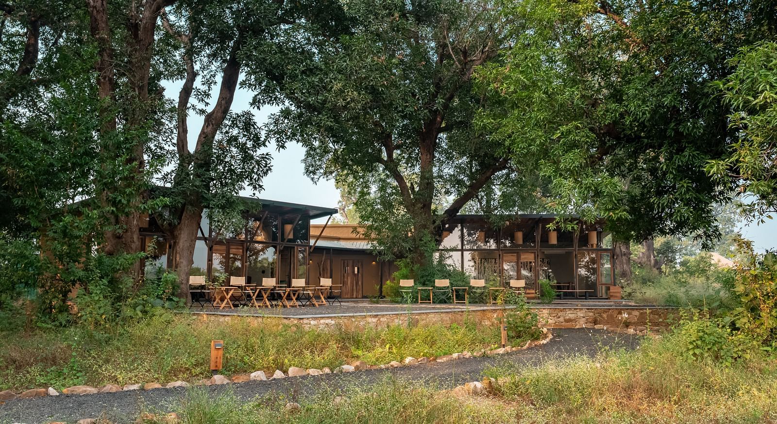 A view of two cottages surrounded by trees at Trees N Tigers, Tadoba.