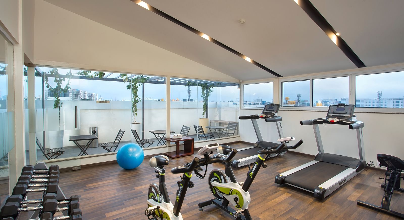 The gym with a view of the outdoor terrace, showcasing treadmills and stationary bikes - De Venetian by TGI, Brookefield