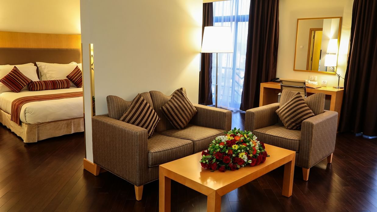 DFA PLC AIDA MULUNEH LOCATION-RAMADA ADDIS AUG 2016-797