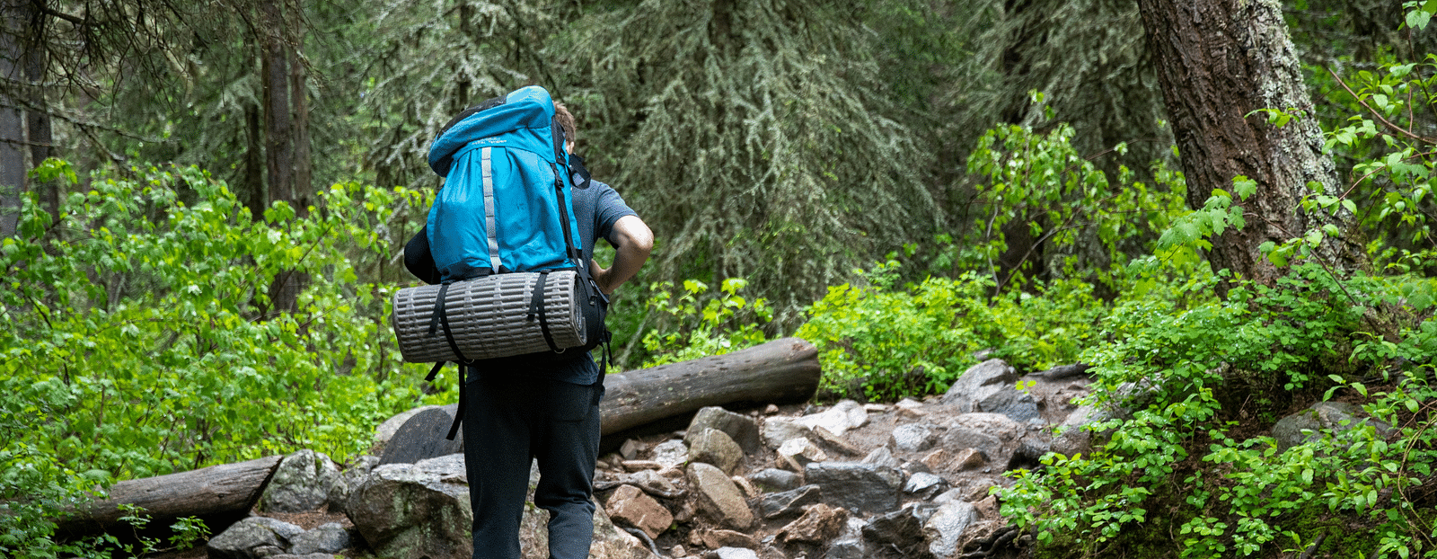 An image of a man walking through the stream which is surrounded by trees and plants