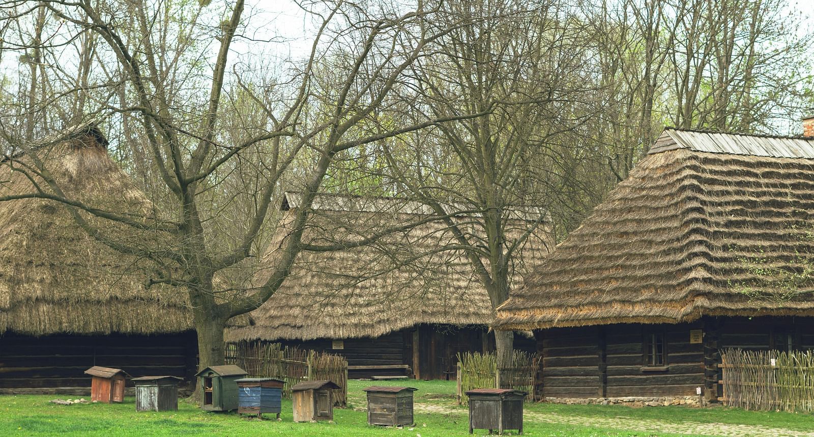 image of several huts in a cluster with a bright green grass in the foreground