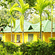 Palm Era Cottages, Coorg Coorg Exterior Palm Era Cottages Coorg 11