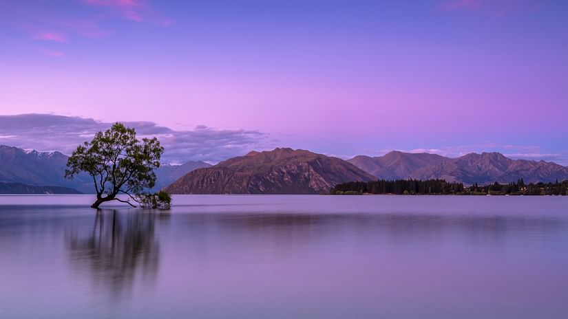 a large lake with a solitary tree in between, mountains in the background and purple hues in the sky
