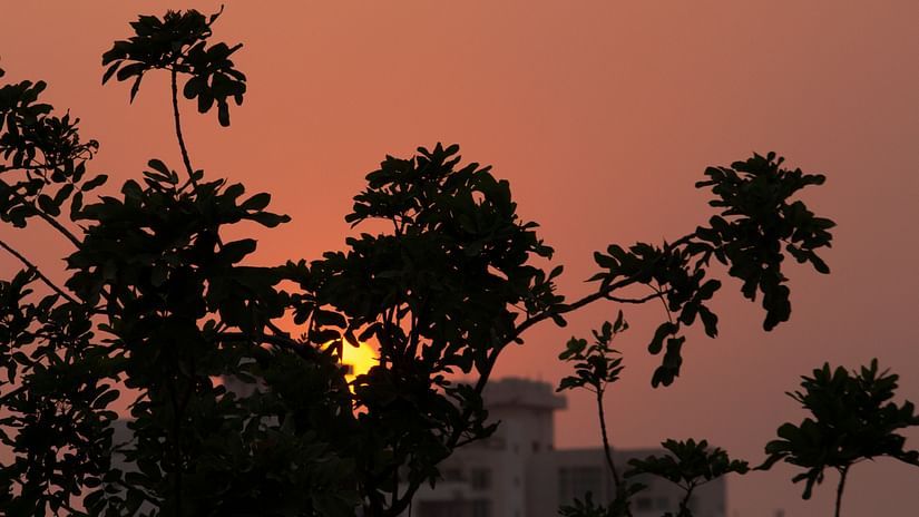 the sun setting behind trees and buildings