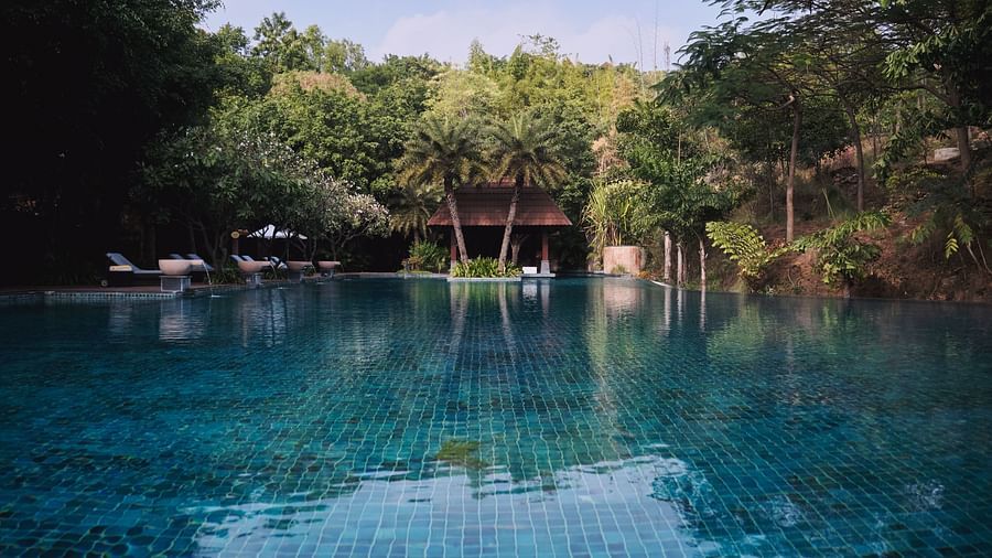 Overview of the swimming pool with sun lounger and two coconuts - The Ananta Udaipur