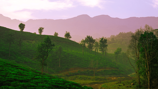 A landscape with green hills, scattered trees, and mountains in the background under a sky with soft clouds.