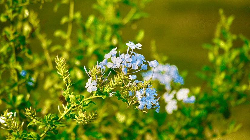 vivek-k-kaushik-b5rJVsYP8bI-unsplash