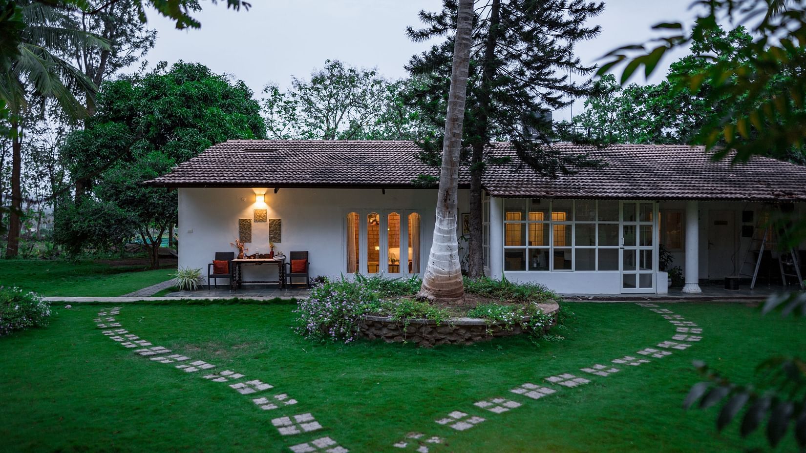 lush green garden at the mangifera