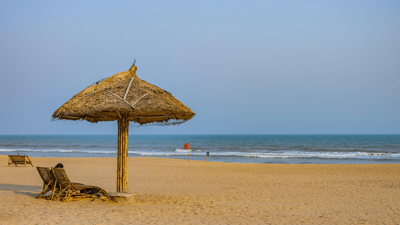 pexels-shantumsingh-29547310