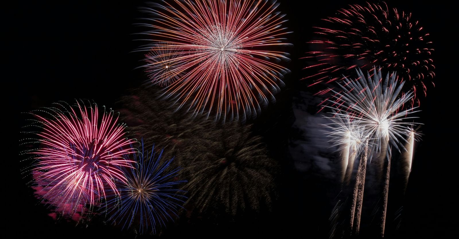 A display of multiple colourful fireworks exploding against a solid black night sky, featuring bursts of red, orange, pink, blue, and white.