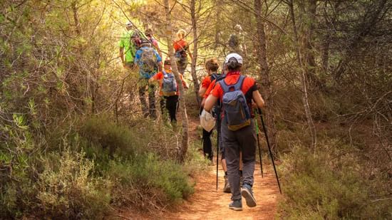 Nature walk dandeli Stone Wood Premier 
