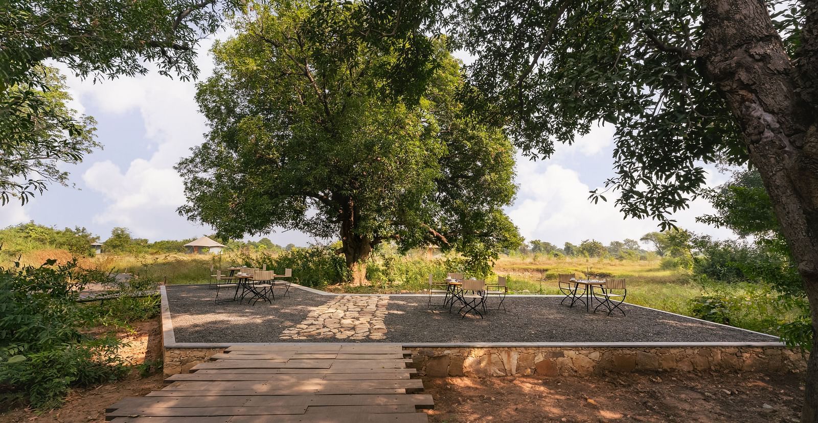 An open area with grass and trees during daytime at Trees N Tigers, Tadoba.