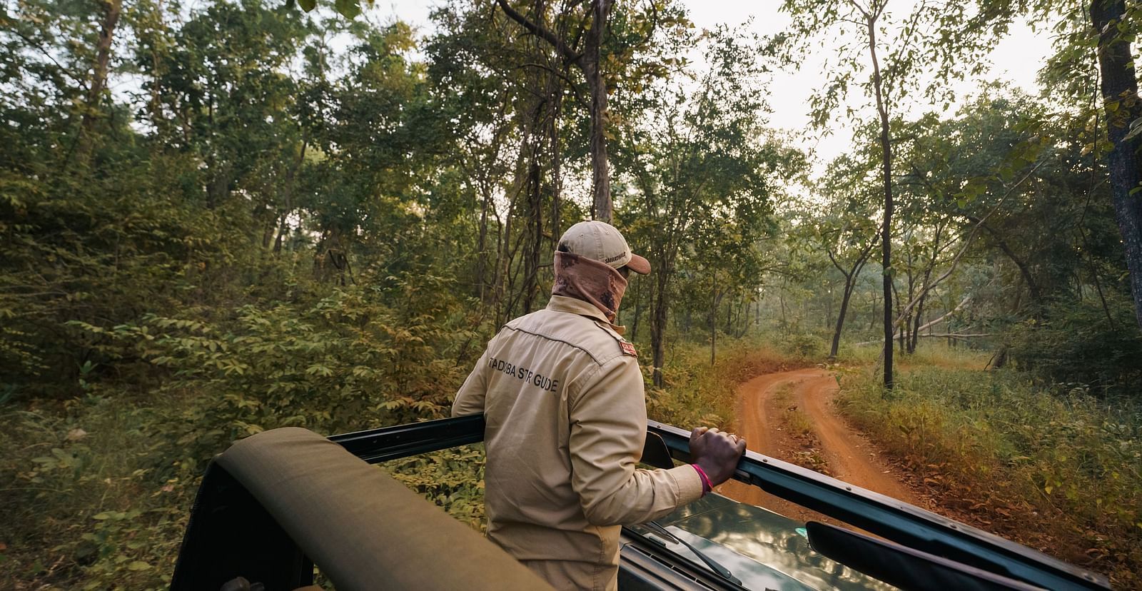 A view from the jeep of a guide standing up on the jeep Safari - Trees N Tigers, Tadoba.