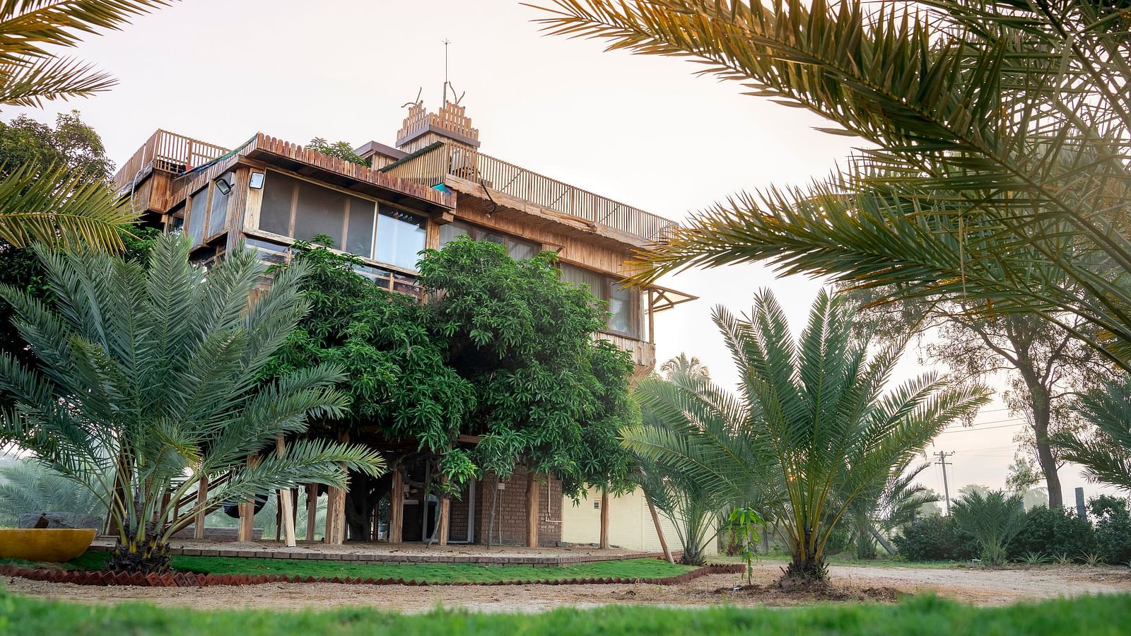 Facade of a tree house that is surrounded by greenery | Habba Dates Villa, Hampasandra