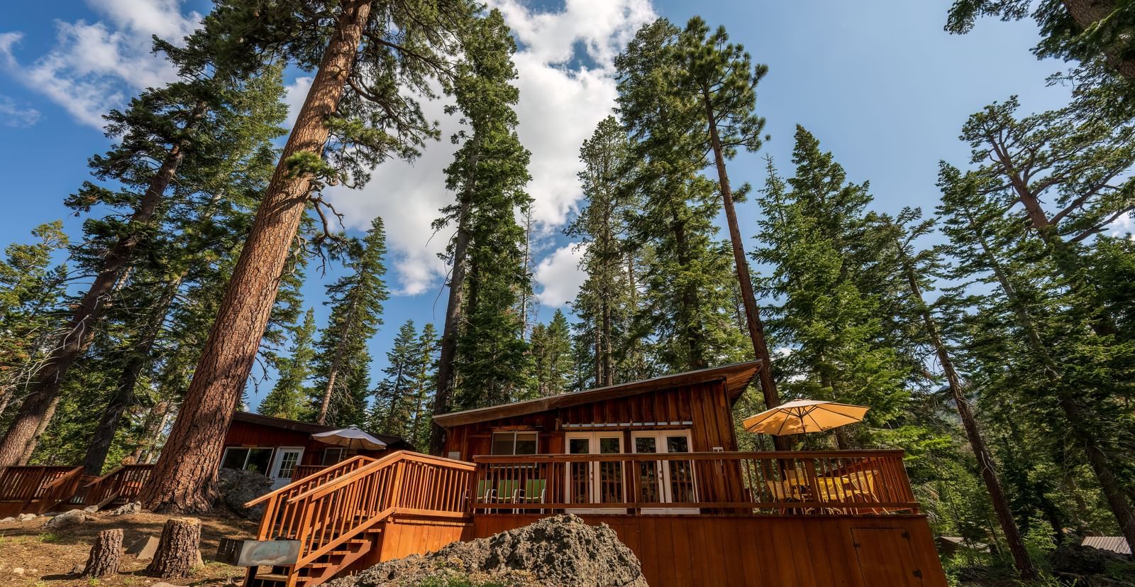 Scenic view of tall pines and cabin exteriors at Kit Carson Lodge.