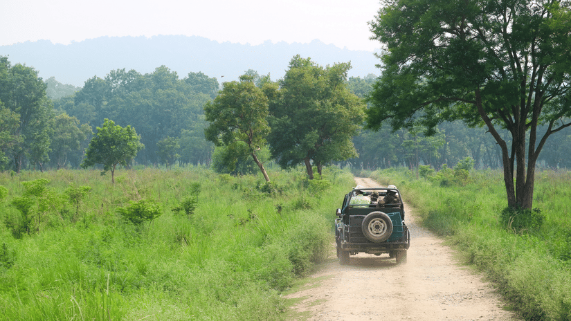 A safari jeep driving down a dirt road through a green grassy landscape with distant trees and hills.