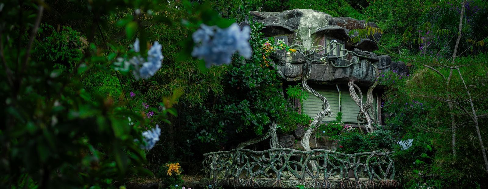 An image of a cave room amidst the jungle with pretty flowers and shurbs