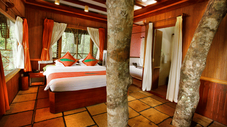 Room with a bed and tree trunks protruding out of the floor at Vythiri Resort, Wayanad