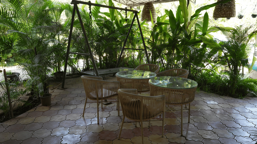 An outdoor seating area with wicker chairs and tables under a canopy, surrounded by green plants at Oceanature Resort, Alibaug.