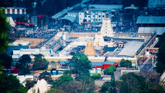 High-angle view of a white temple complex with a prominent golden gopuram, surrounded by trees and urban structures at Tirumala.