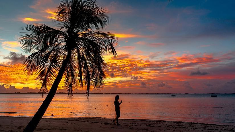 beach with a sunset
