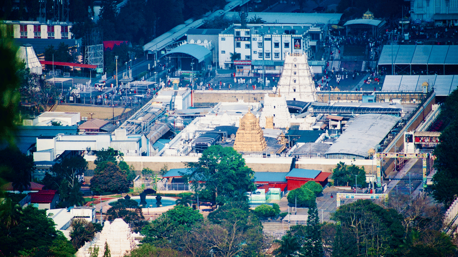 High-angle view of a white temple complex with a prominent golden gopuram, surrounded by trees and urban structures at Tirumala.