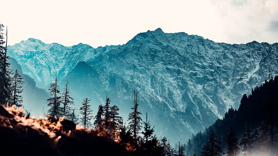 Snow-capped mountains surrounded by lush green forest - The Orchid Manali