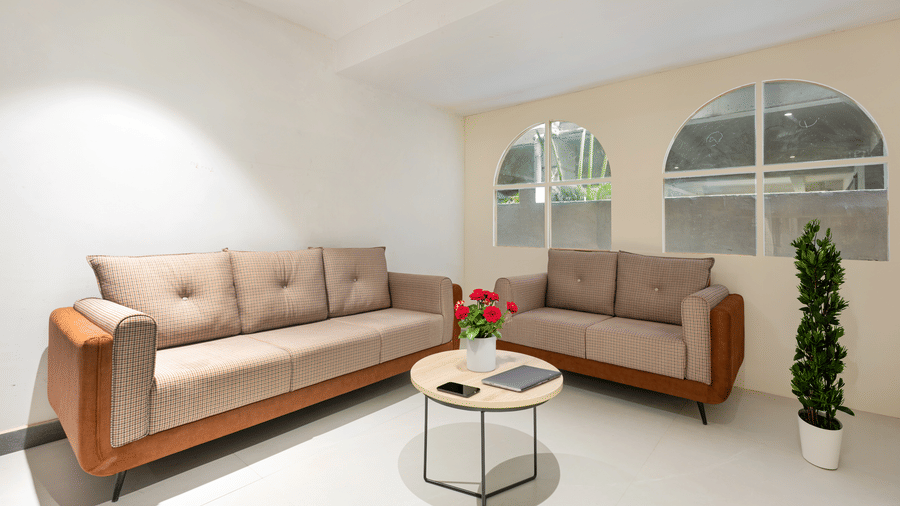 A lounge area with 2 sofas, a small round coffee table, and potted green plants in a bright room.
