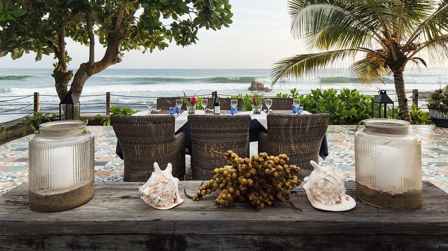 An image of a beachside featuring a seating area with chairs and table surrounded by palm trees at Owl and the Pussycat hotel in Galle 