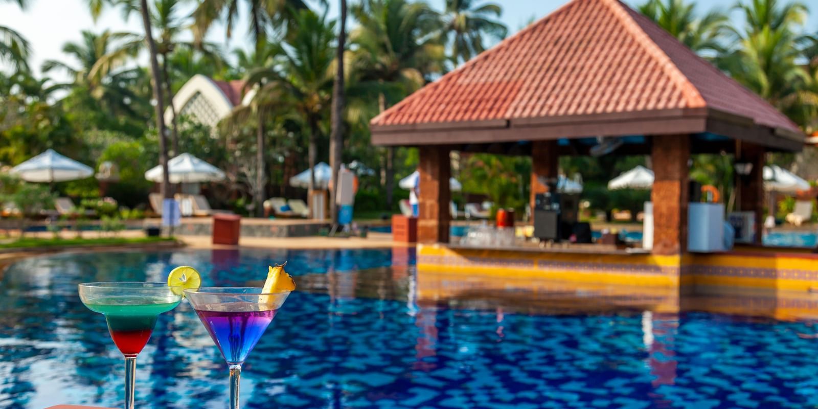 swimming pool in South Goa 59