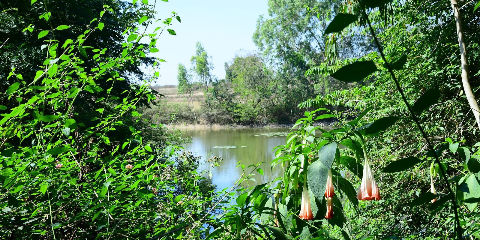A view of a serene lake with surrounding exotic flowers and lush greenery - Hoysala Village Resort, Hassan
