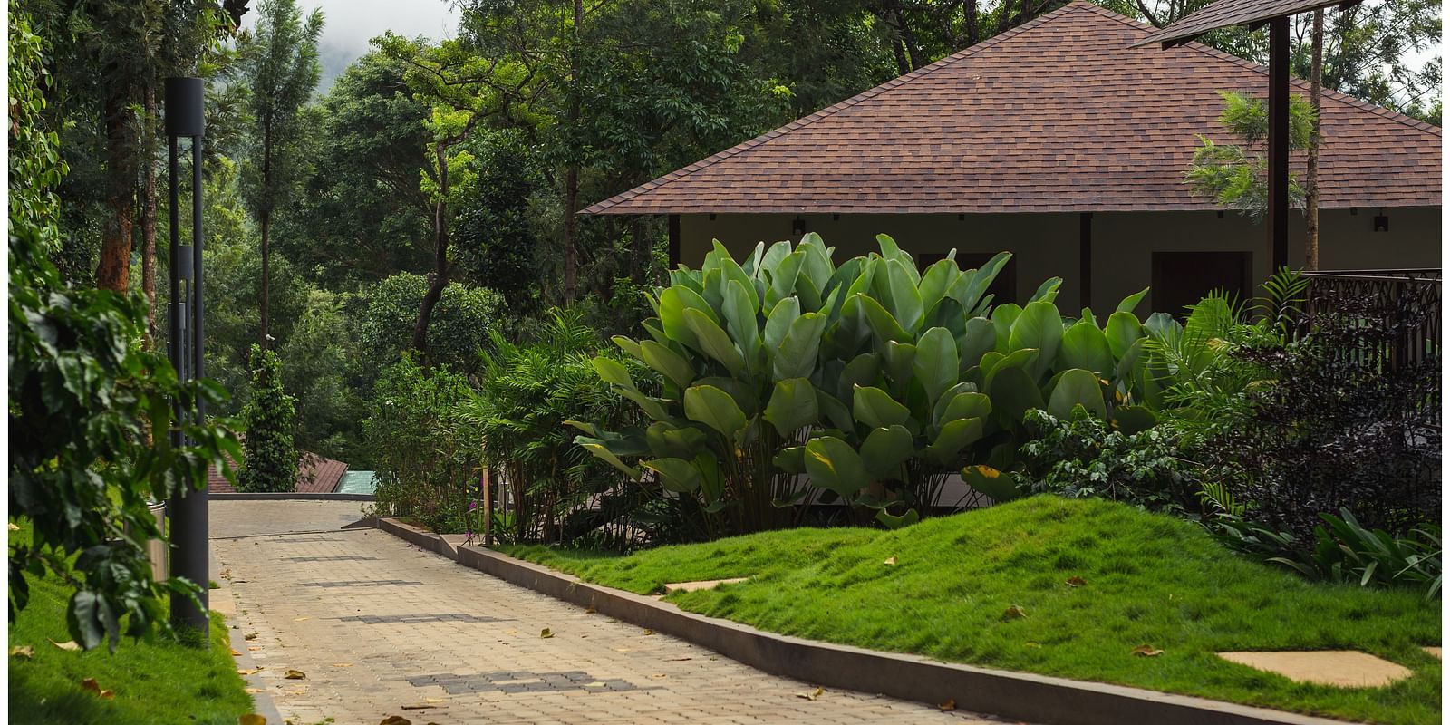 pathway of the property with plants and a cottage beside it