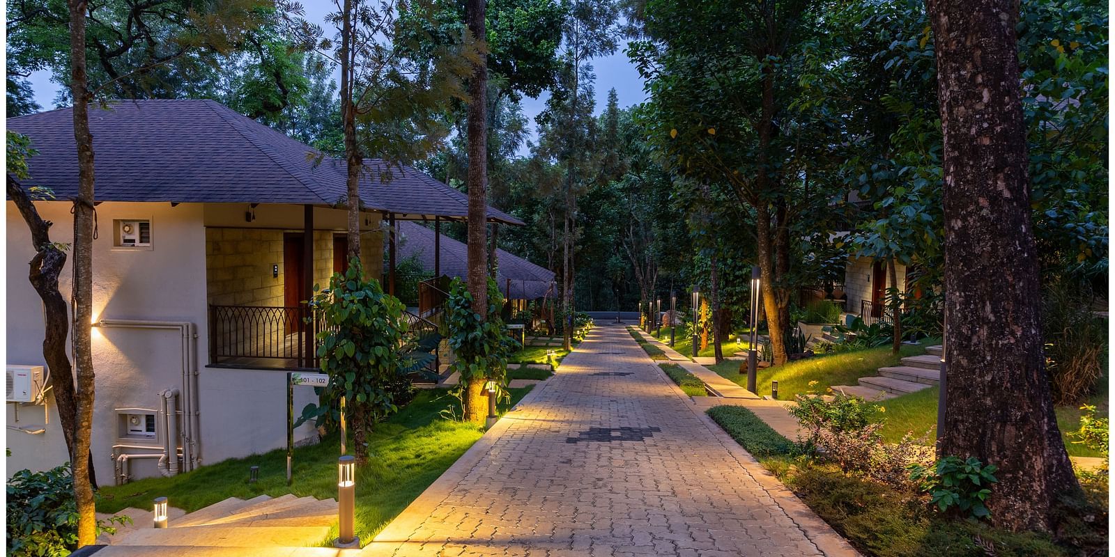 pathway with tress beside it during night