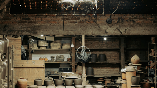 pexels-ravena-lages-1310519-9145517