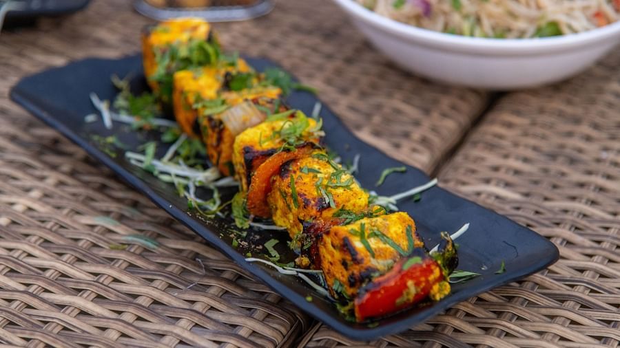 Paneer tikka served on a plate at DLS Park Grace, Haridwar.