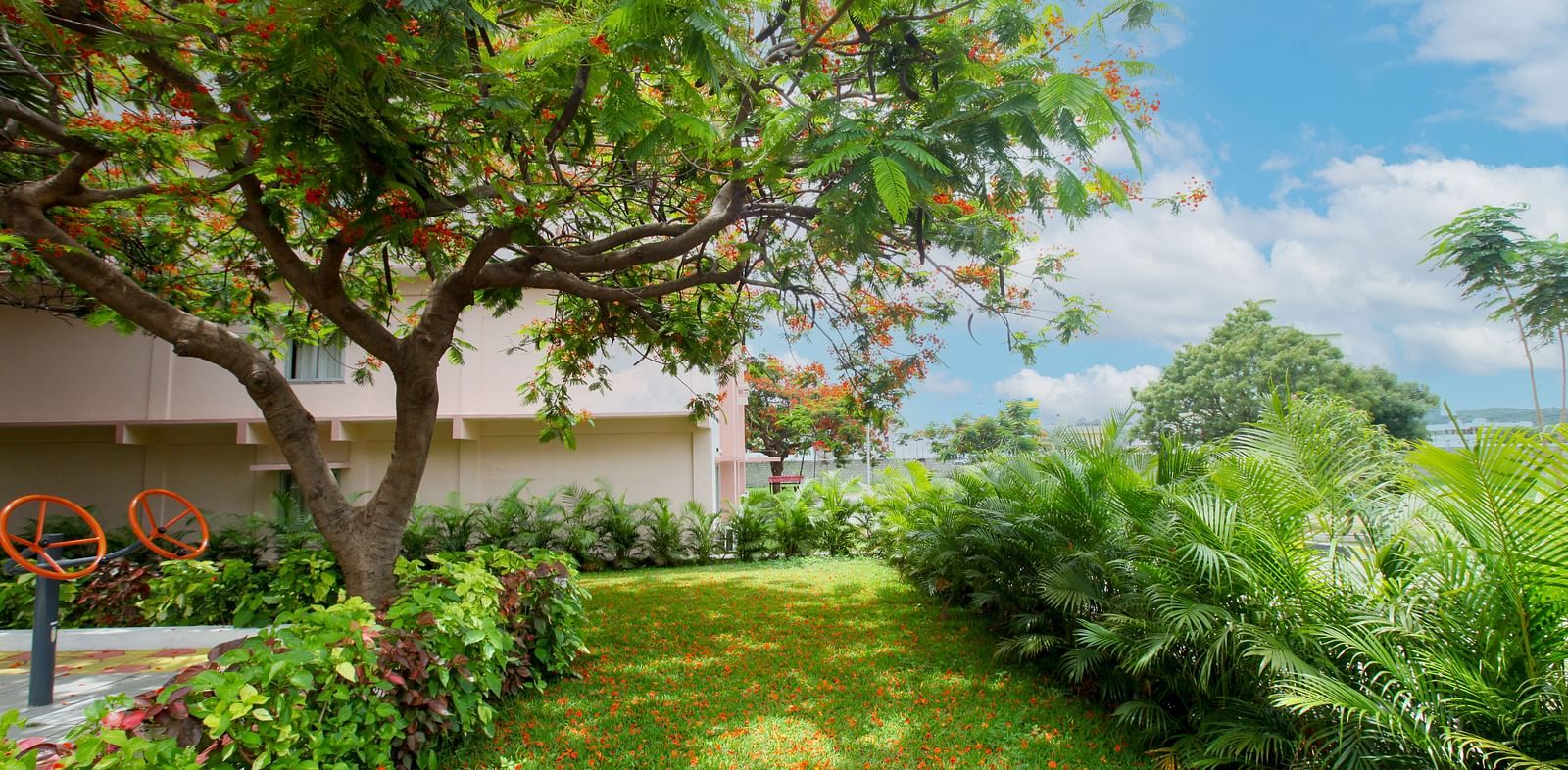 A well-carpeted lawn, featuring trees and shrubs at Greens Inn - Lush Hotel Grounds in Hyderabad.
