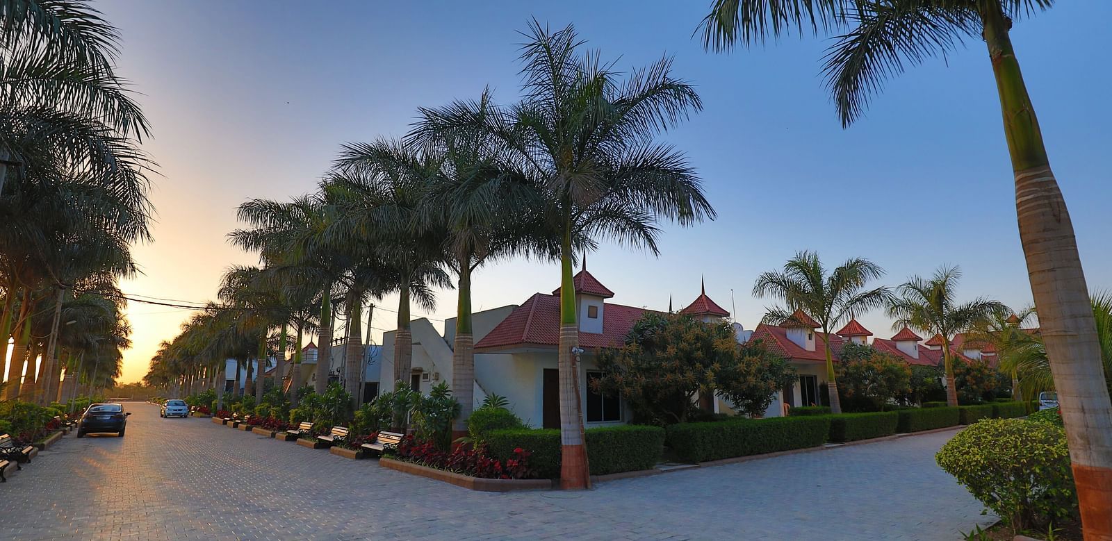 A pathway lined with palm trees leading towards a resort area with thatched-roof structures under a clear sky - Vishal Lords Inn Gir Forest