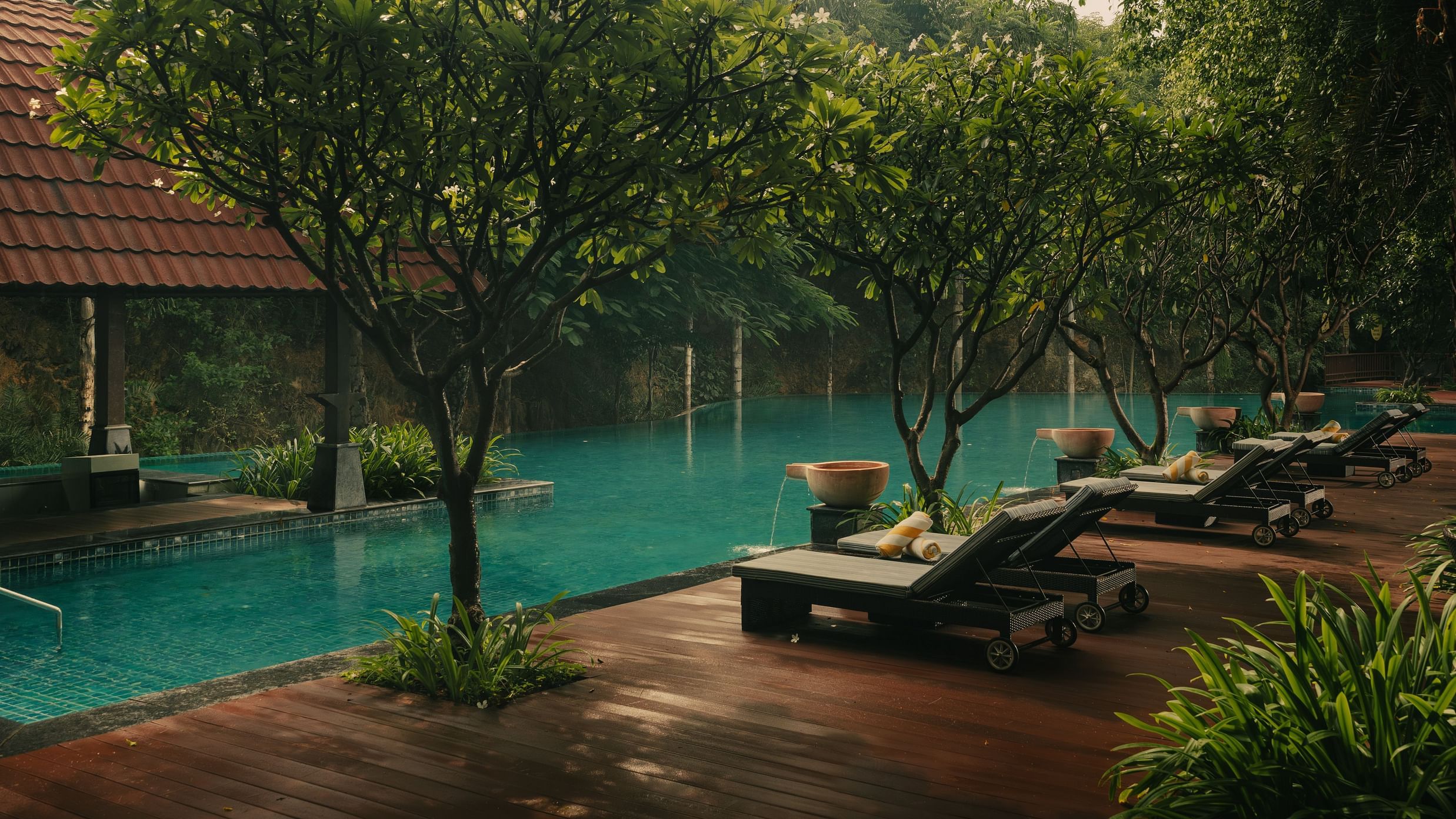 A serene outdoor swimming pool at The Ananta Udaipur, surrounded by lush greenery and rain-kissed trees.